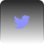 Twitter Icon